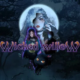 Обкладинка гри Wicked Willow