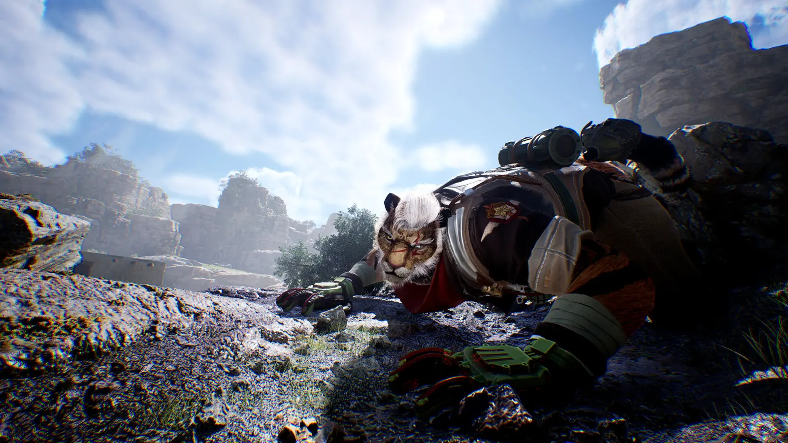 Wild Assault media 16