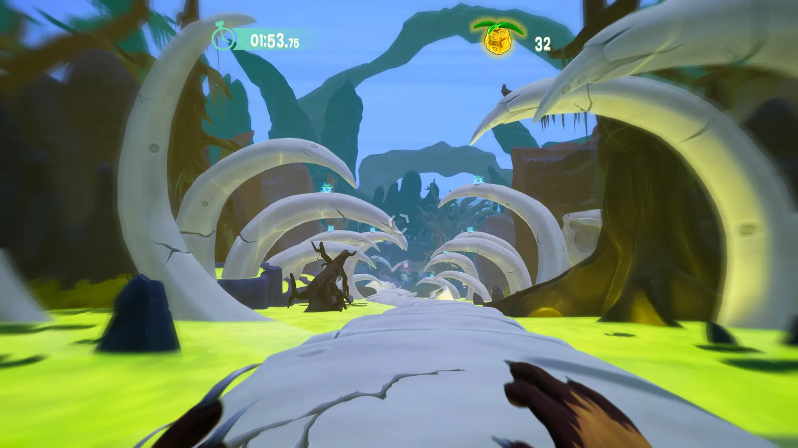 Wild Dive media 3