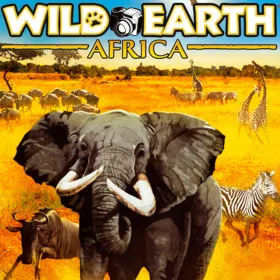 Обкладинка гри Wild Earth - Africa