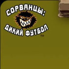 Обкладинка гри Wild Football Guys