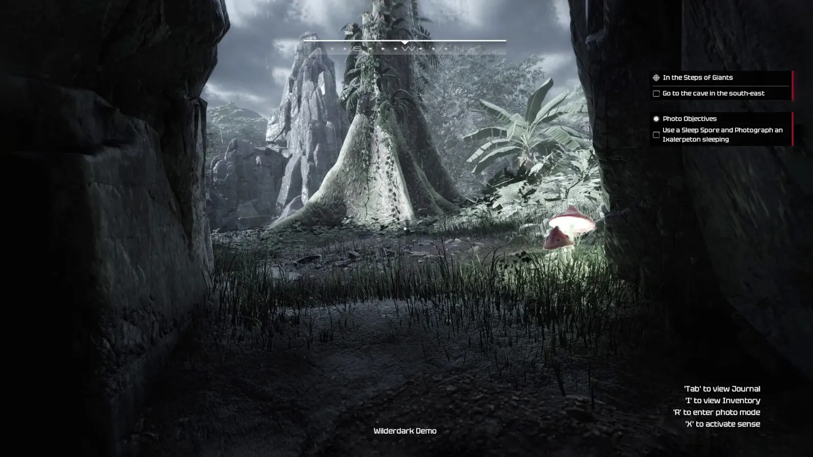 Wilderdark media 4