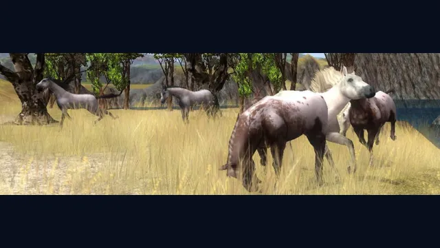 Wildlife Park 2 - Horses