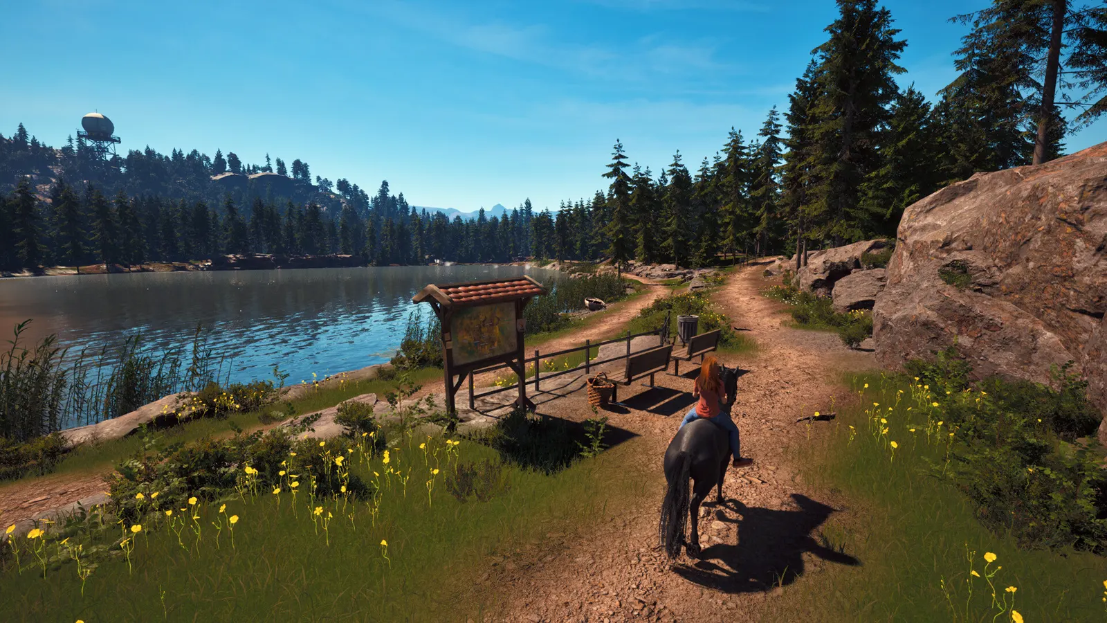 Windstorm: Start of a Great Friendship - Remastered media 2