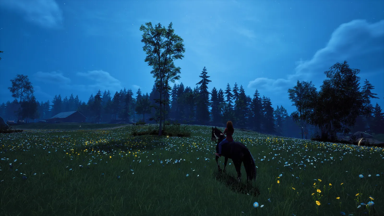 Windstorm: Start of a Great Friendship - Remastered media 3