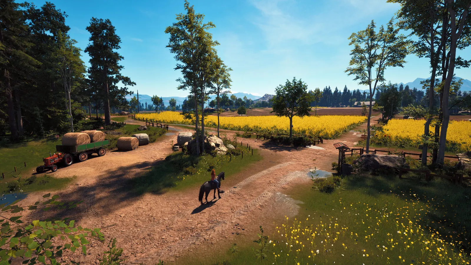 Windstorm: Start of a Great Friendship - Remastered media 5