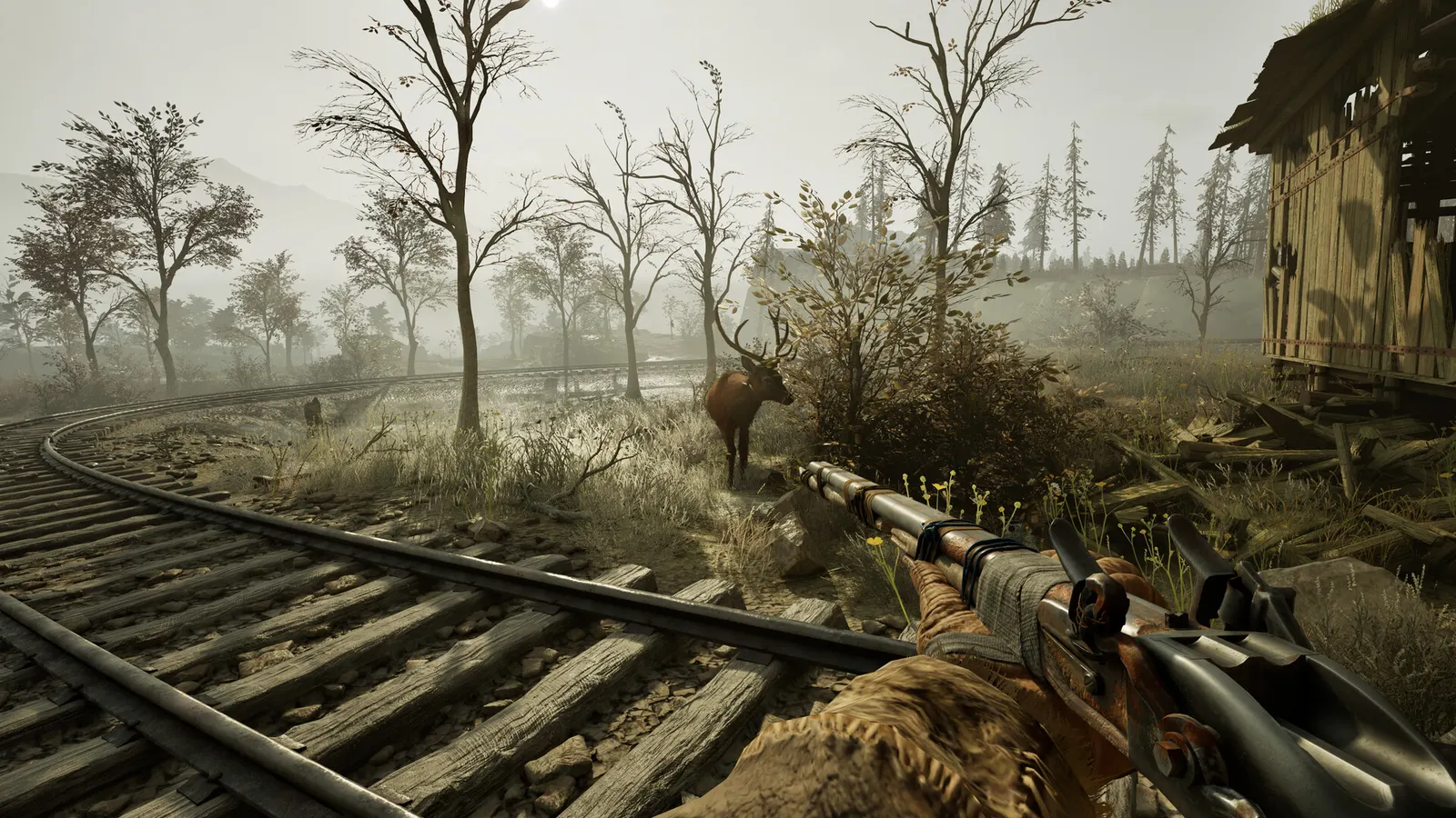 Winter Survival media 2
