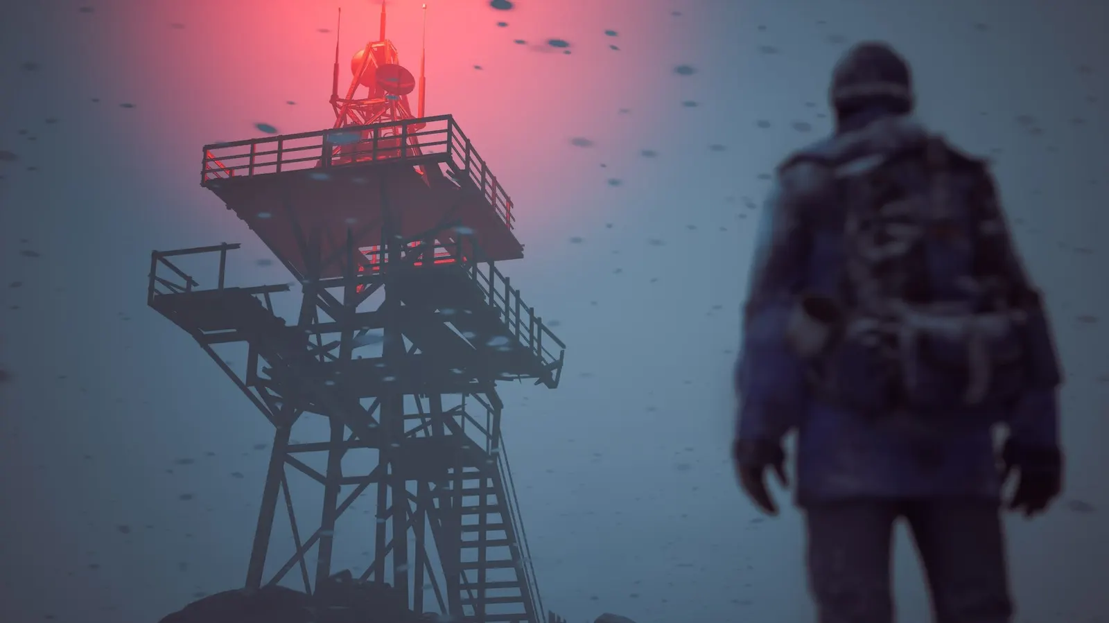 Winter Survival media 3