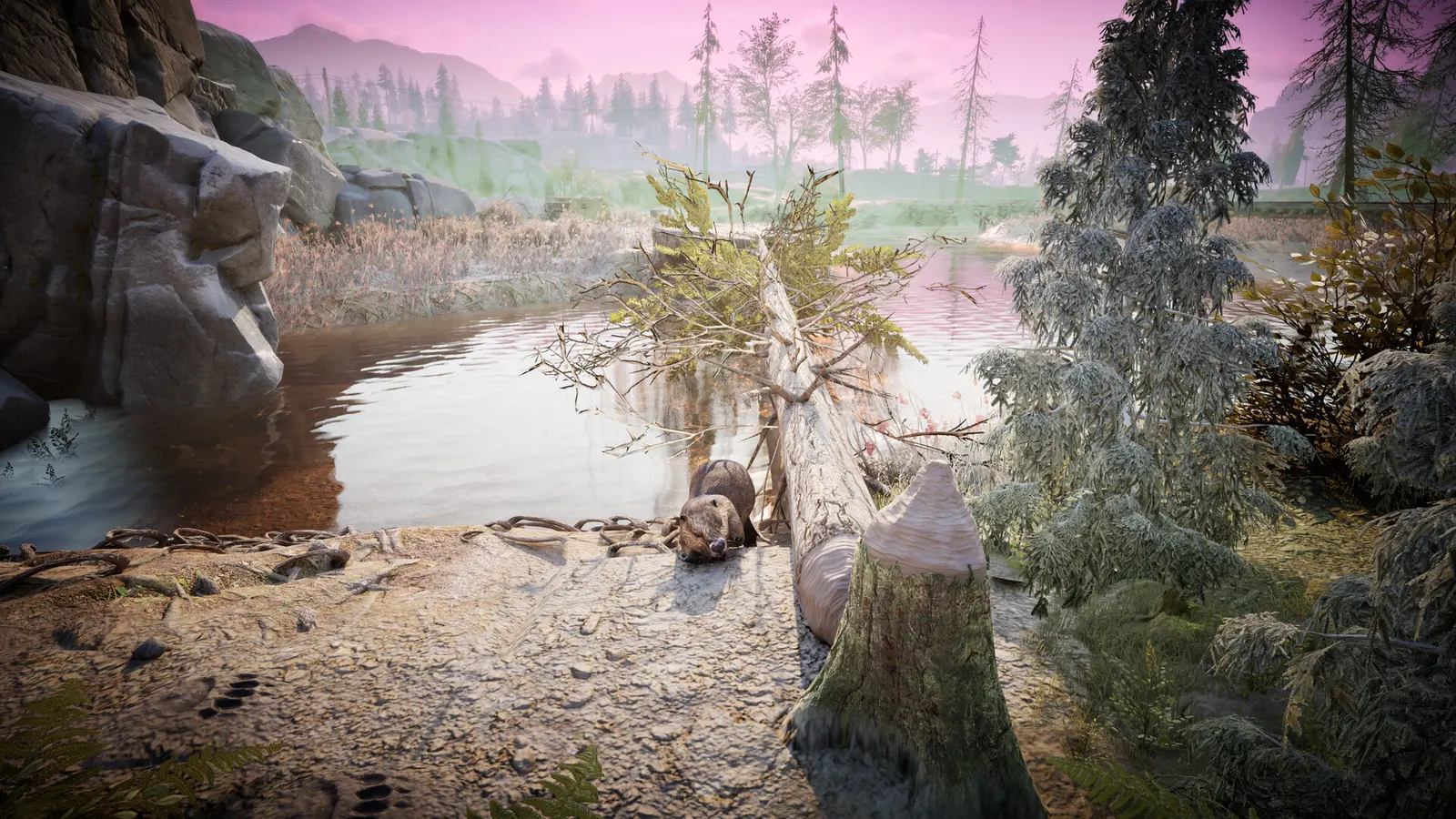 Winter Survival media 5