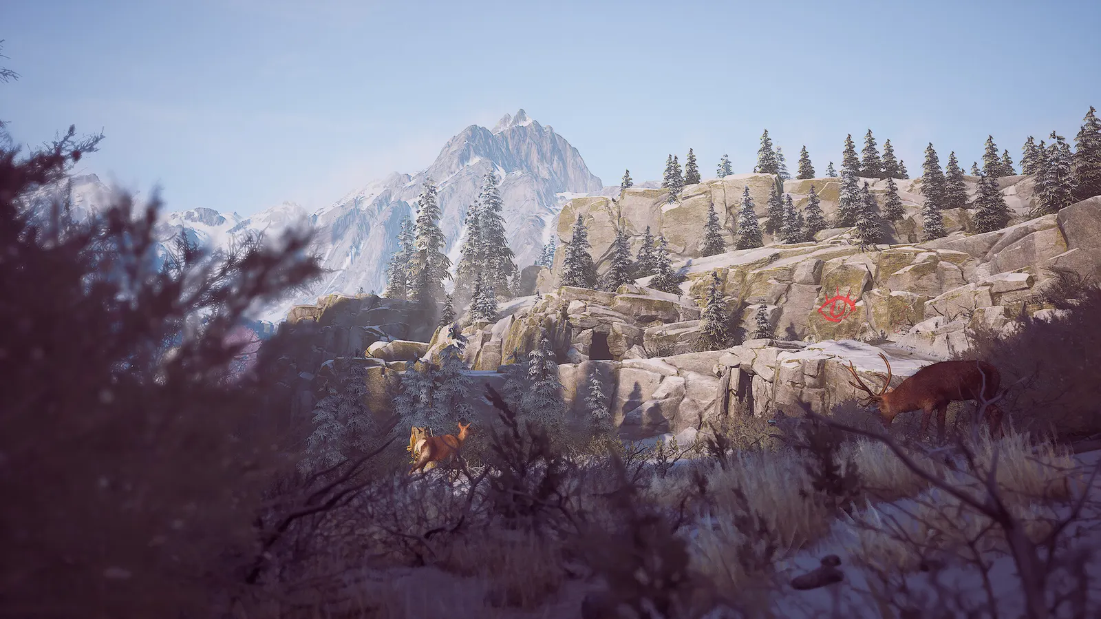Winter Survival media 18