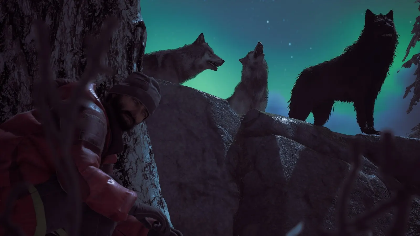 Winter Survival media 18