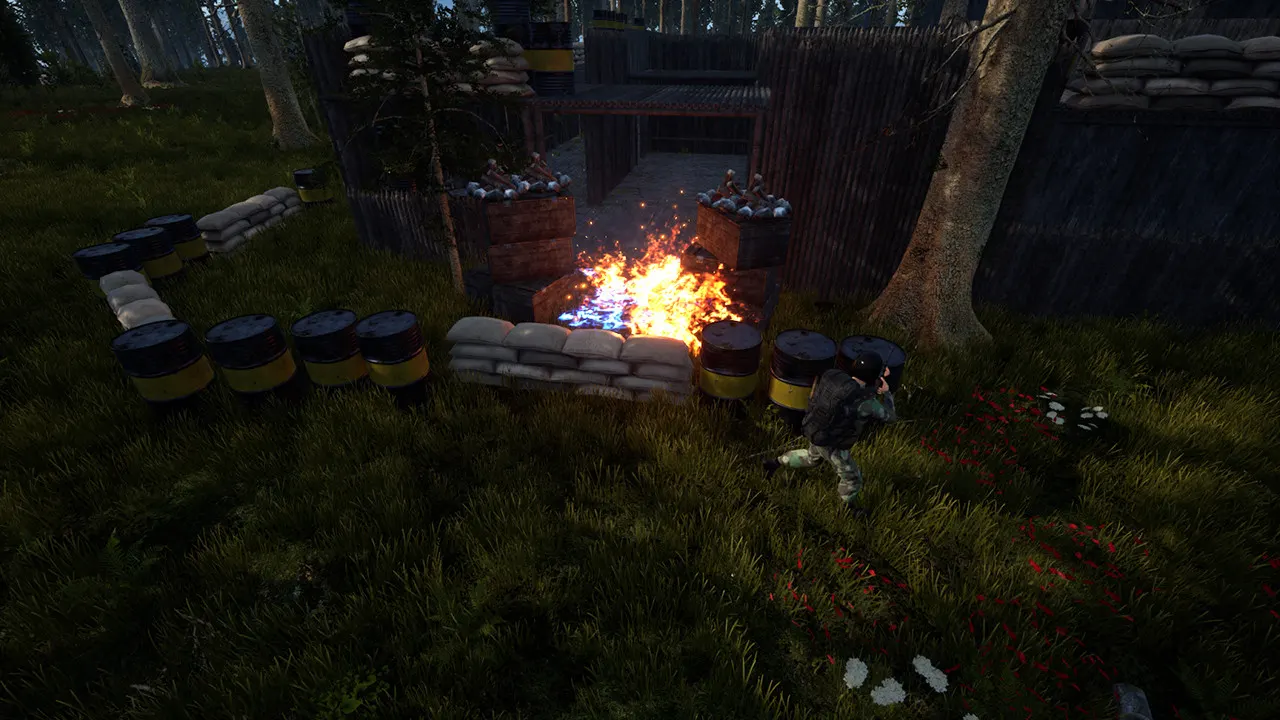 XERA: Survival media 8