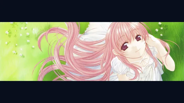 Yume no Tsubasa: Fate of Heart