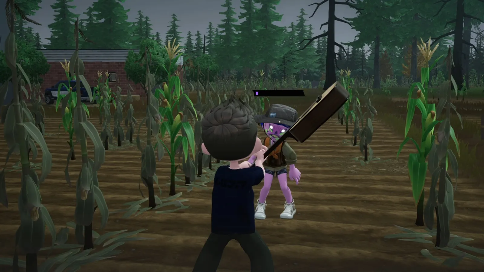 Zeverland media 9