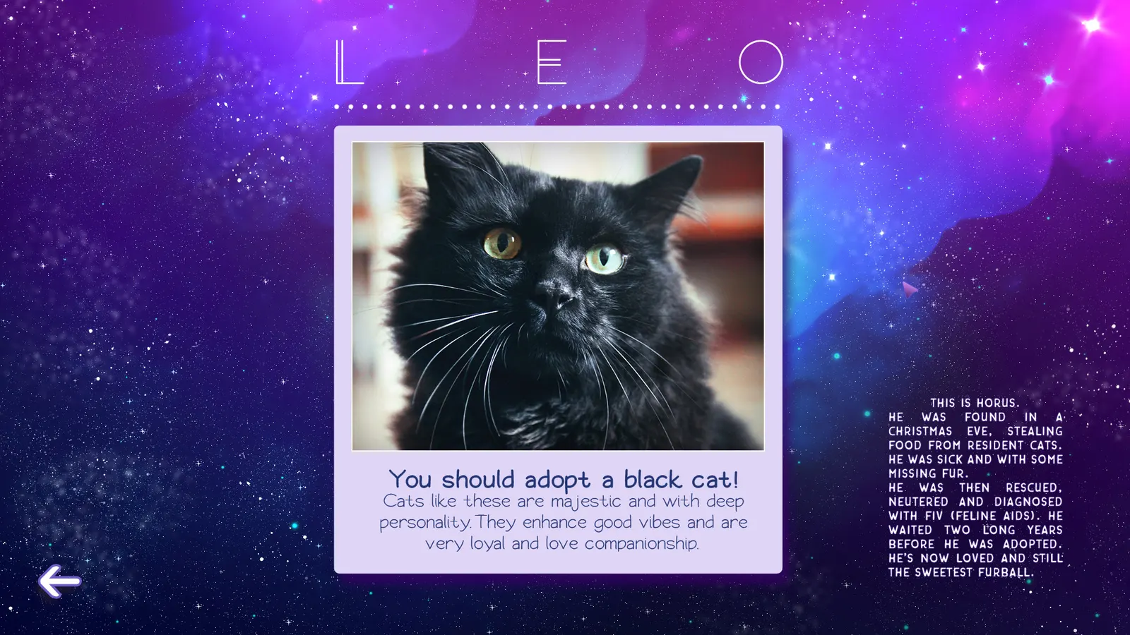 Zodiacats media 8