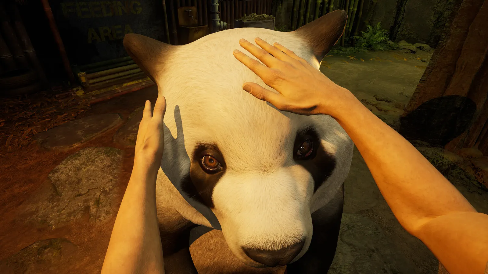 Zoochosis media 3