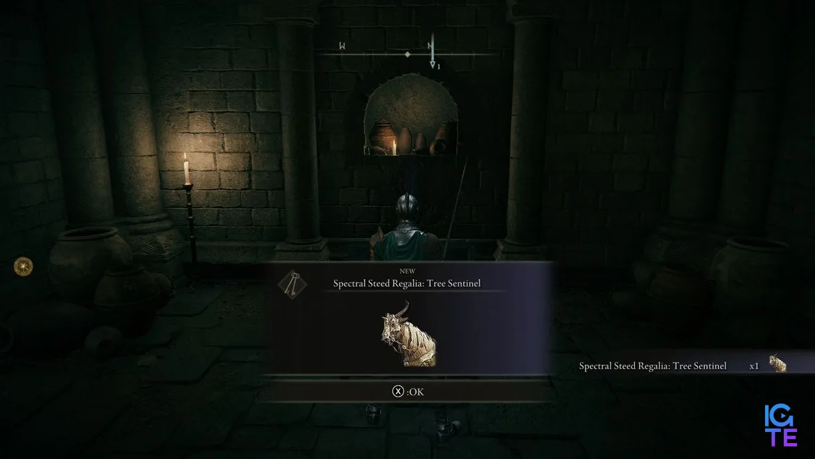 Elden Ring Torrent skins - Chest location