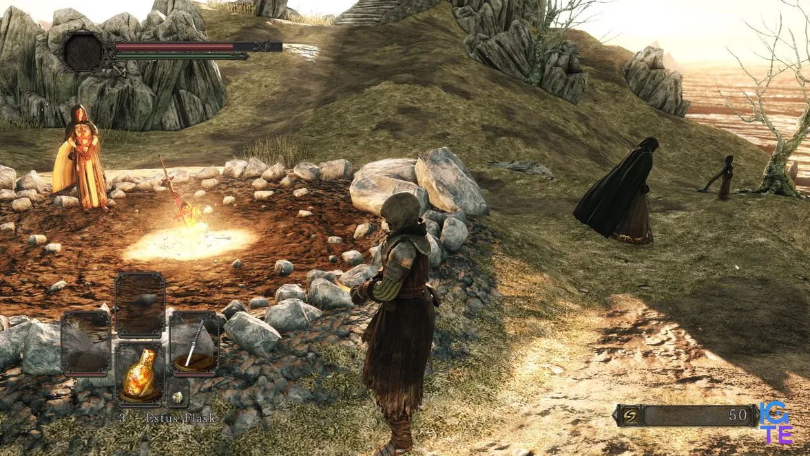 DS2 seamless co-op, glitch with multiple emerald heralds