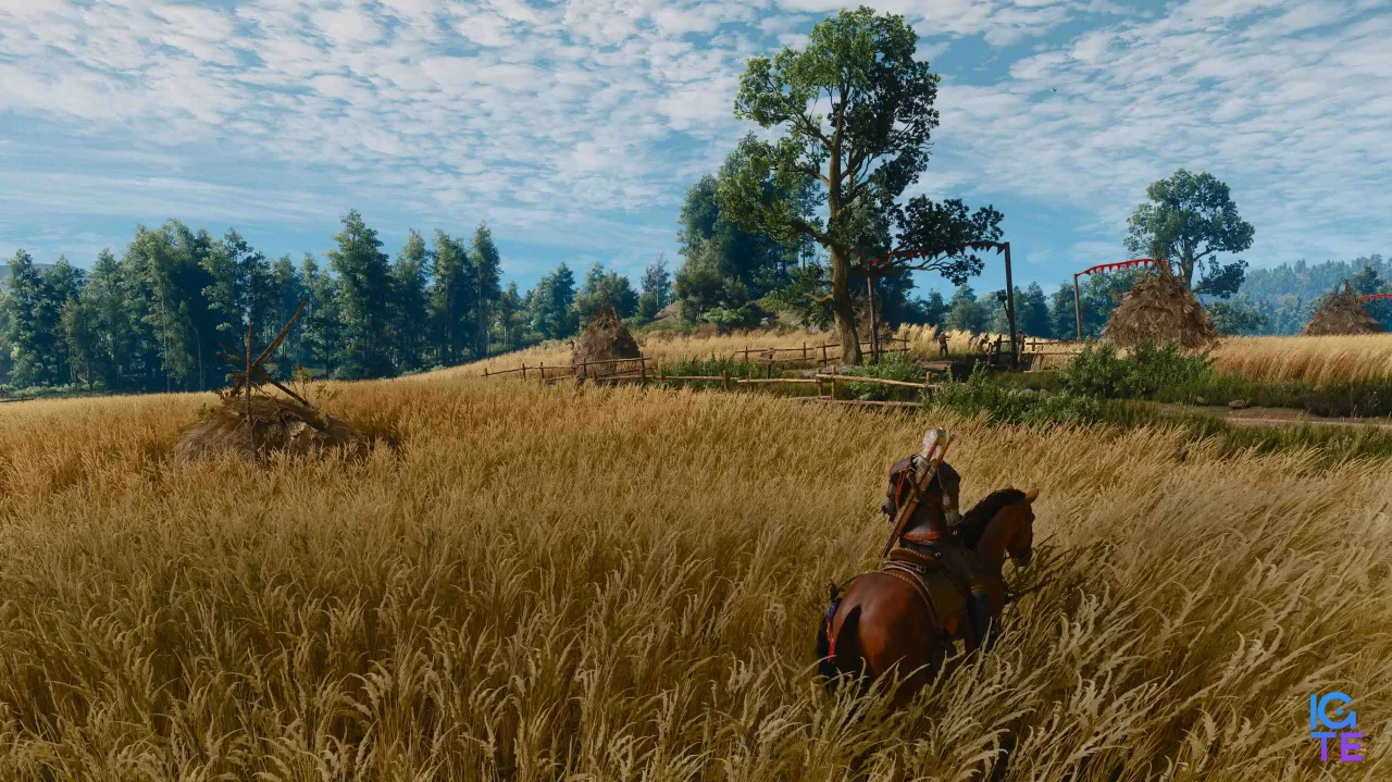 Witcher 3 &ndash; Songs of the Past