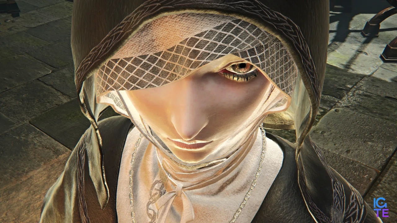 Для Elden Ring Nightreign вийшов мод із локаціями Frozen Eleum Loyce і Frigid Outskirts із Dark Souls 2